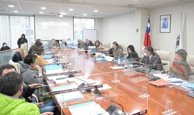 CORE del Maule aprobó $4 mil 800 millones para renovar transporte público