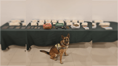 Traficantes son detenidos con más de 15 kilos de pasta base en el peaje Quinta