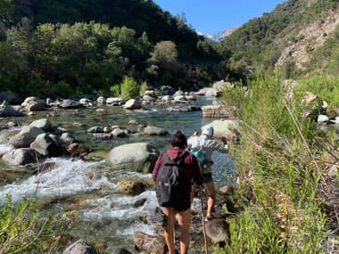 Gobierno Regional encabezará mesa de conservación “Bellotos del Sur” en Linares