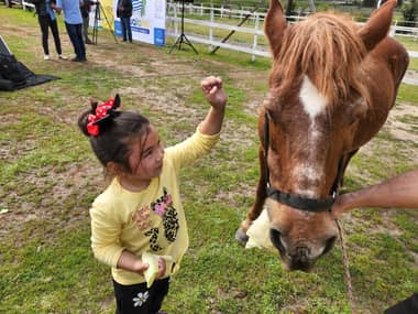 Programa de hipoterapia continuará desarrollándose en Hualañé