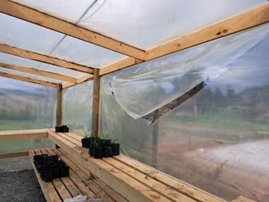 Denuncian robo y destrucción de invernadero en parcela de Parronal