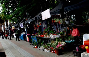Feria inclusiva "Curicó sin Barreras" estará hasta este miércoles en la Plaza de Armas