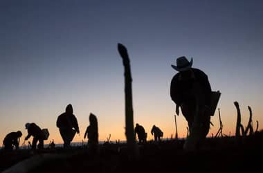 Dirigente vecinal de Romeral denuncia a contratista por abuso laboral contra migrantes