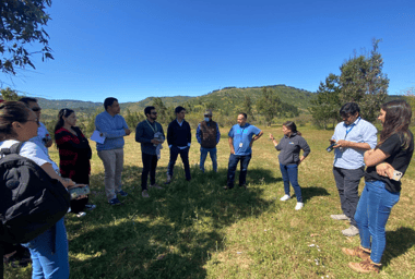 Municipio de Hualañé y Serviu analizan factibilidad de terrenos para proyectos habitacionales