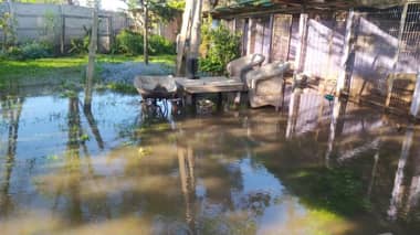 Denuncian inundaciones por falta de limpieza en canales de Rauquén