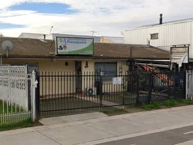 Encuentran muerto a propietario de “Veterinaria Rauquén”