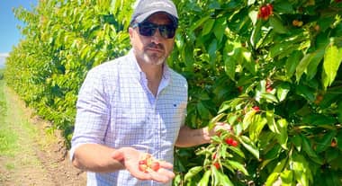 Diputado Pulgar pidió activar seguros agrícolas por lluvias y granizada en el Maule