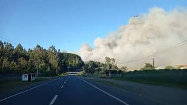 Preocupación por incendio forestal en la comuna de Pelluhue