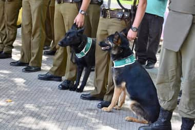 Navidad Segura: operativo permitió detener a sujetos por porte de arma en Curicó