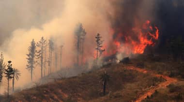 Onemi ordena evacuar sectores de Lumaco por avance de incendio forestal