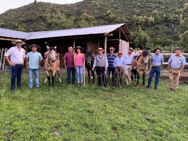 Arrieros constituyen inédita asociación "Alto Maule"