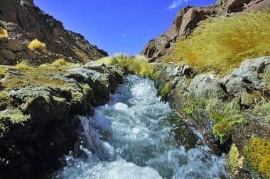 La Haya recalca que Silala es un río internacional y que Chile hace un uso razonable