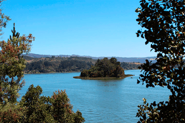 Están todos invitados a la Fiesta de la Papaya y a la XVl versión de La Noche de las Viñas