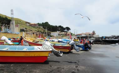 Aprueban más de mil millones para capacitación de pescadores y pescadoras del Maule