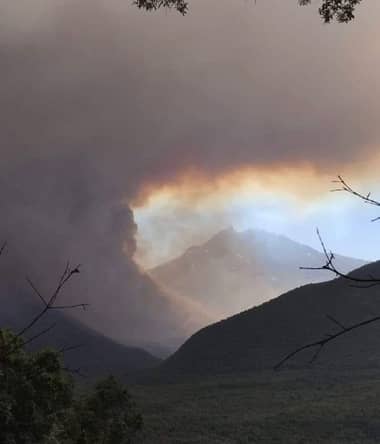 Solicitan evacuar sectores de Potrero Grande en Longaví por avance de incendios forestales