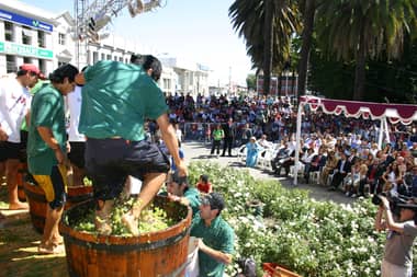 Candidatas competirán por ser la nueva embajadora de la Fiesta de la Vendimia de Curicó