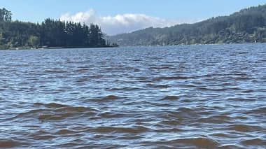 “Las autoridades regionales son los principales responsables de la contaminación en el Lago Vichuquén”, expresó el alcalde Patricio Rivera