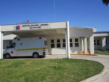 Madre intentó matar a sus hijas de 7 y 19 años en la comuna de Hualañé 