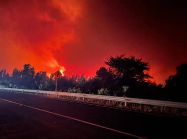 Chile registra 176 incendios forestales activos: 37 de ellos se están combatiendo