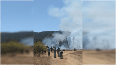 Incendio puso en riesgo varias casa en Licantén