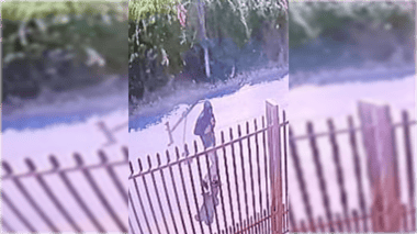 Delincuentes roban a dueños del supermercado de la leña en Romeral