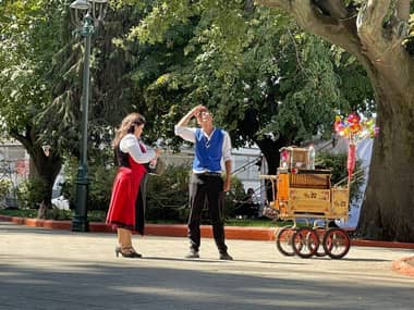 Desaparece loro de chinchineros que grababan spot para la Vendimia de Curicó