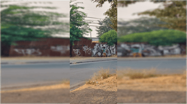 Vecinos denuncian toma de terreno en sector Maule Abajo de Curicó