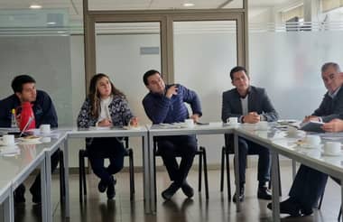 Autoridades de Curicó acuerdan medidas para evitar presencia de caballares y bovinos en la vía pública