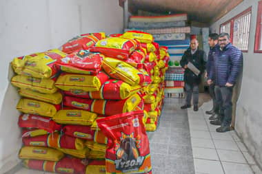 Senapred envió a Curicó alimento para perros destinado a mascotas de familias afectadas por inundación