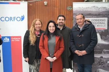 Gobierno Regional del Maule y Corfo anuncian recursos por $270 millones para emprendimiento e innovación