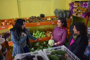 Gobierno Regional del Maule dispone de fondo para emprendedores damnificados en Licantén