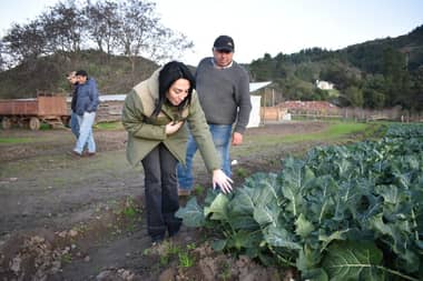 Gobernadora Regional del Maule se reunió con agricultores afectados por temporal en Curepto