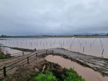 Director regional de Senapred anticipa posible desborde de ríos del Maule y llama a la precaución