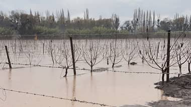 Afectados por inundaciones en predios agrícolas de Villa Prat acusan nula ayuda del Gobierno a 52 días del temporal