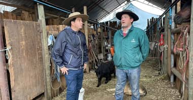 Criadores reciben respaldo ante daños causados por temporal en Curicó
