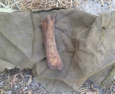 Brigada de Homicidios investiga hallazgo de posible osamenta humana en Lontué