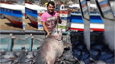 Joven pescador de Iloca sufre accidente que lo mantiene grave en el Hospital de Curicó