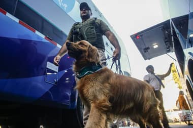 Conductor de bus con destino a la región de O'Higgins dio positivo a cocaína en fiscalización