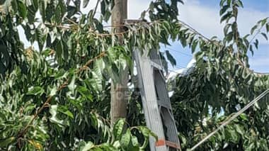 Hombre muere por descarga eléctrica en Sagrada Familia