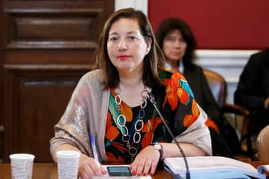 Senadora Vodanovic manifestó preocupación por ola de calor que afecta al Maule