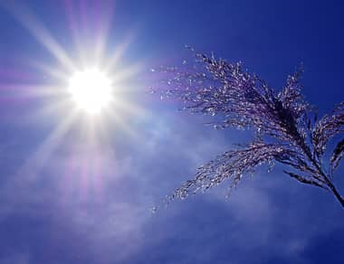 Declaran Alerta Amarilla para el Maule por temperaturas extremas desde este miércoles