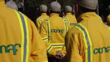 Fin al paro en CONAF: Sindicatos logran "importantes acuerdos" y finalizan movilización