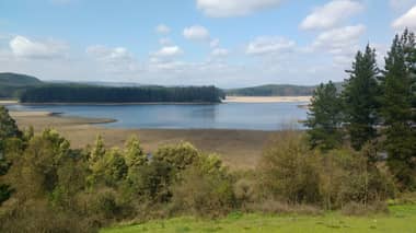 En Laguna Titicura será celebrado este viernes el Día Internacional de Los Humedales
