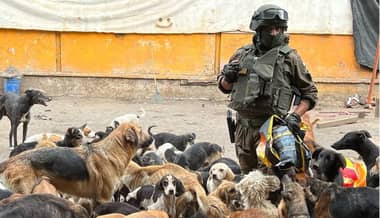 Alcalde de Curicó catalogó caso de maltrato animal como “el más grave que ha sucedido en Chile"