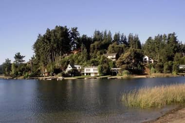 Municipio de Vichuquén busca proteger 13 sectores en el lago para resguardar la biodiversidad