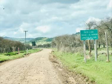 Camino a El Parrón entre Rauco y Hualañé podría estar pavimentado en noviembre