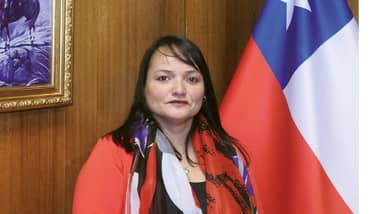 Gobierno pidió renuncia a directora de Dipreca por denuncias de maltrato laboral
