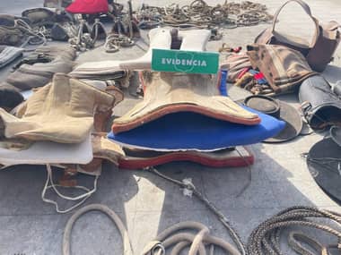 Carabineros de Curicó recupera aperos de huaso robados y avaluados en más de $15 millones