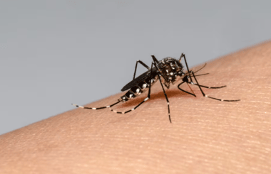 Diputado Hugo Rey exigió al ministerio de Salud transparentar plan contra el dengue