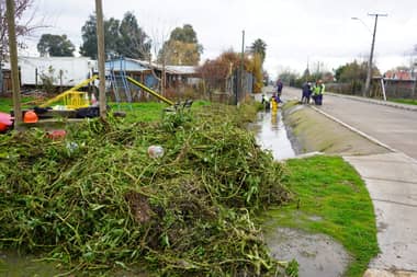 Municipio de Curicó refuerza limpieza preventiva de canales ante sistema frontal
